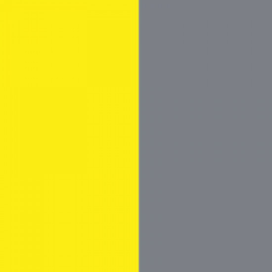 Bright Yellow/Graphite 