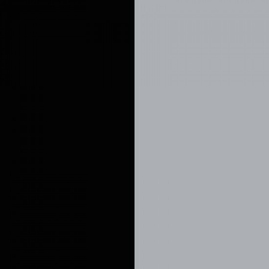 Black/Silver Grey 
