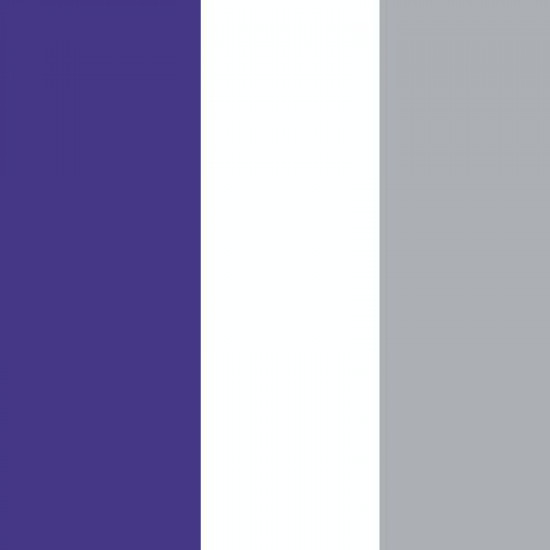 Purple/White/Silver Grey 