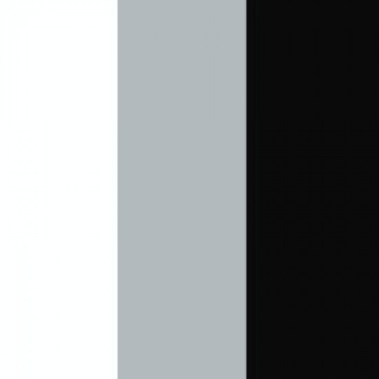 White/Silver Grey/Black 