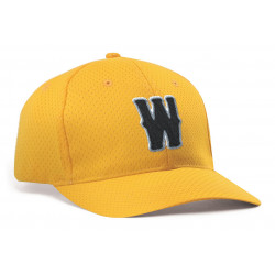 Sport Flex Athletic Adult Mesh Cap Style 6232