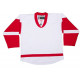 TronX DJ300 Replica Hockey Jersey - Detroit Red Wings