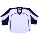 TronX DJ300 Replica Hockey Jersey - Winnepeg Jets