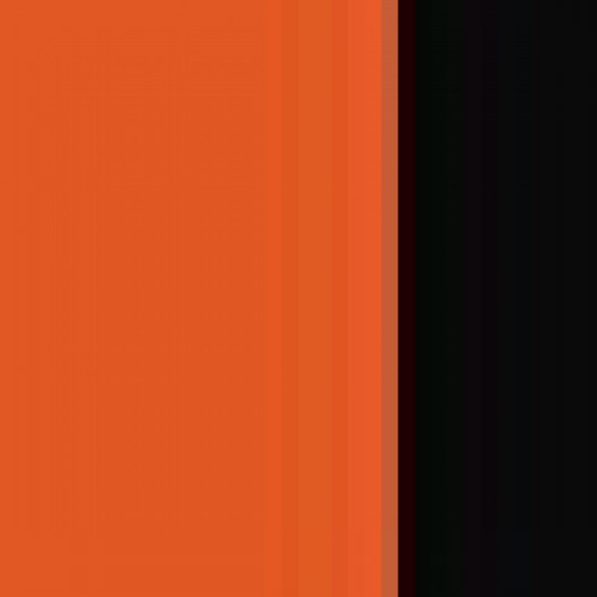 Orange/ orange/ black Print 