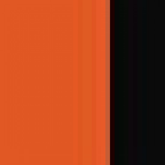 Orange/ orange/ black Print 