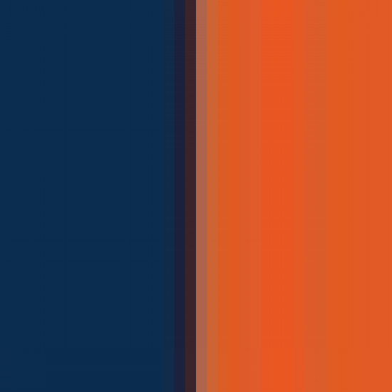Navy/orange 