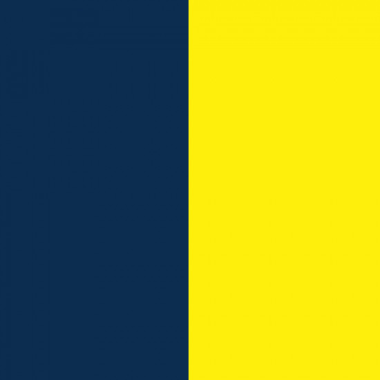 Navy/Power Yellow 