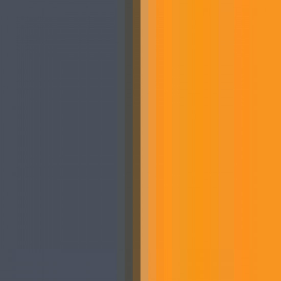 Graphite/Safety Orange 