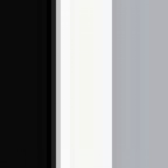 Black/White/Silver Grey 