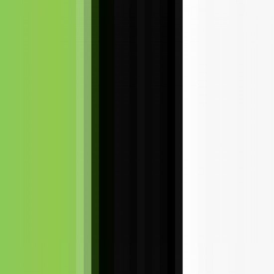 Lime/Black/White 