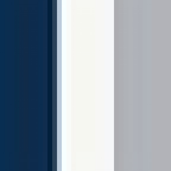 Navy/White/Silver Grey 
