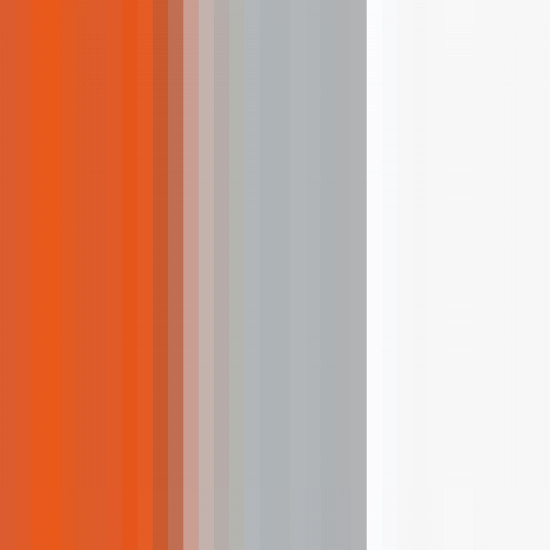 Orange/Silver Grey/White 