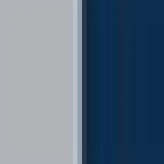 Silver Grey/Navy 