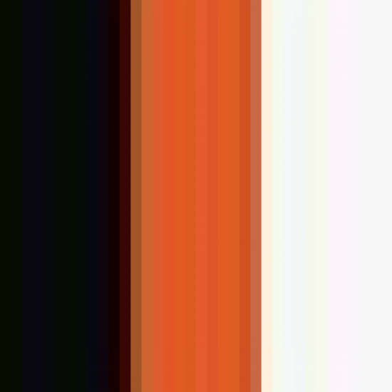 Black/Orange/White 
