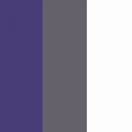 Purple/Graphite/White 