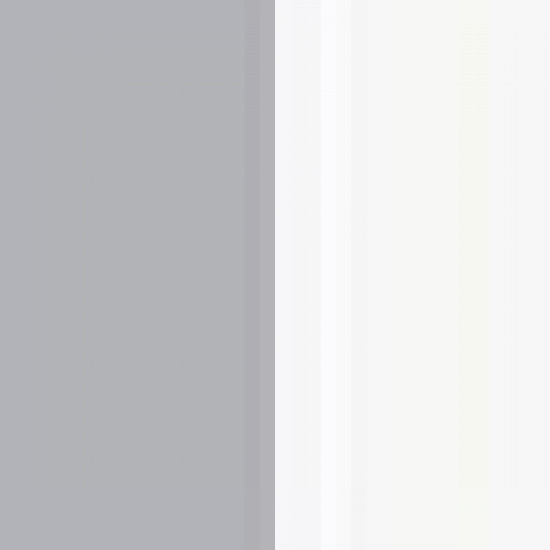 Silver Grey/White 