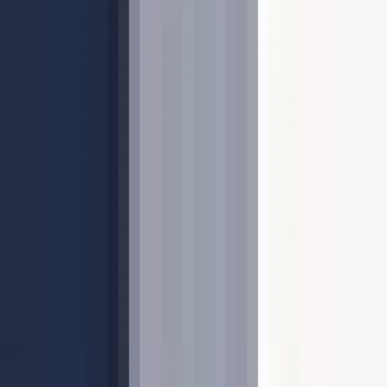 True Navy/Blue Grey/White 