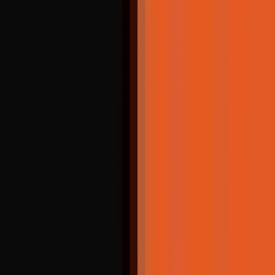 Black/Orange 